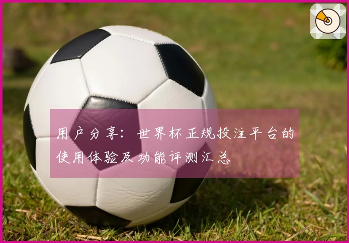 用户分享：世界杯正规投注平台的使用体验及功能评测汇总