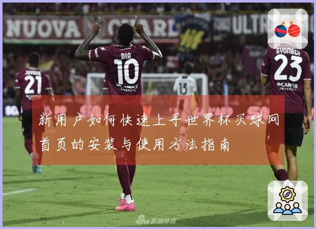 新用户如何快速上手世界杯买球网首页的安装与使用方法指南